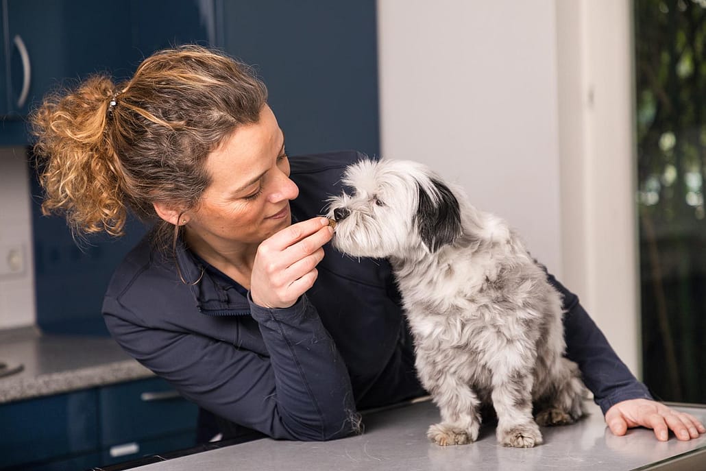 Dr. Schneller mit Hund auf Behandlungstisch